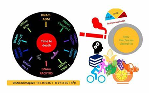 獨(dú)特的衰老生物標(biāo)志物 獨(dú)特的衰老生物標(biāo)志物