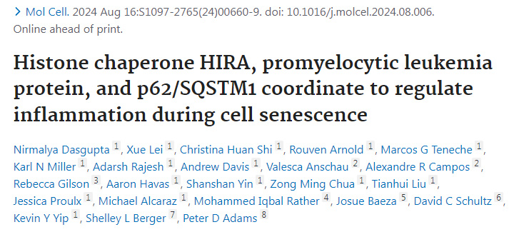 組蛋白伴侶HIRA、早幼粒細(xì)胞白血病蛋白和p62/SQSTM1協(xié)同調(diào)節(jié)細(xì)胞衰老過程中的炎癥 組蛋白伴侶HIRA、早幼粒細(xì)胞白血病蛋白和p62/SQSTM1協(xié)同調(diào)節(jié)細(xì)胞衰老過程中的炎癥