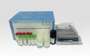 國貨之光 ——Seebio(R) TEV 蛋白酶(TEV Protease)活性測定試劑盒, 為生物制藥和科研服務(wù)添磚加瓦! 國貨之光 ——Seebio(R) TEV 蛋白酶(TEV Protease)活性測定試劑盒, 為生物制藥和科研服務(wù)添磚加瓦!