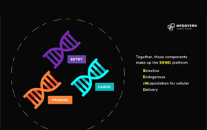 Science重磅:張鋒領銜開發全新mRNA遞送平臺SEND,開辟分子療法遞送新方法 Science重磅:張鋒領銜開發全新mRNA遞送平臺SEND,開辟分子療法遞送新方法
