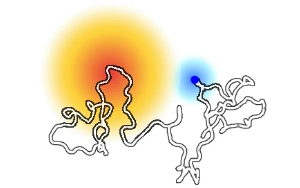 《Nature》解鎖未知分子開關:一種特定蛋白質區域導致乳腺癌 《Nature》解鎖未知分子開關:一種特定蛋白質區域導致乳腺癌