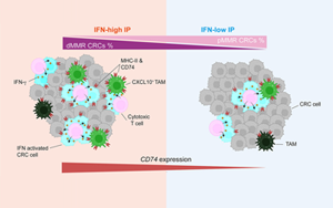 Cancer Cell:蛋白水平預測腸癌免疫治療反應 Cancer Cell:蛋白水平預測腸癌免疫治療反應