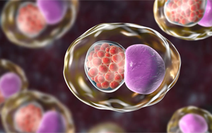 Cell:微生物組的變化預測性傳播疾病的風險 Cell:微生物組的變化預測性傳播疾病的風險