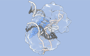 Science:張鋒團隊擴大基因組編輯的工具箱 Science:張鋒團隊擴大基因組編輯的工具箱
