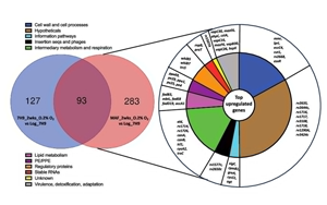 PNAS:萬萬沒想到,結(jié)核桿菌自己提供促進空氣傳播的基因 PNAS:萬萬沒想到,結(jié)核桿菌自己提供促進空氣傳播的基因