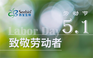 五一勞動節(jié)放假通知|致敬不凡 禮贊平凡 五一勞動節(jié)放假通知|致敬不凡 禮贊平凡