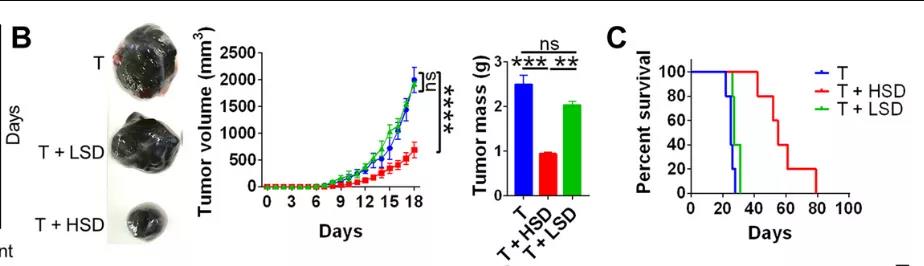 鹽要漲價了！Science子刊揭示：高鹽飲食或可誘導有效的腫瘤免疫！