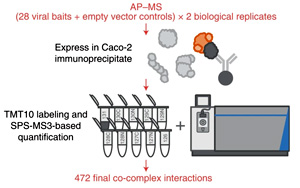 Nature子刊發表有關SARS-CoV-2病毒和人類蛋白質相互作用的綜合性研究 Nature子刊發表有關SARS-CoV-2病毒和人類蛋白質相互作用的綜合性研究