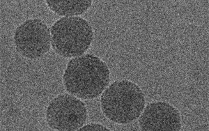 Nature子刊:新型納米粒子提供創新的癌癥化療免疫療法 Nature子刊:新型納米粒子提供創新的癌癥化療免疫療法