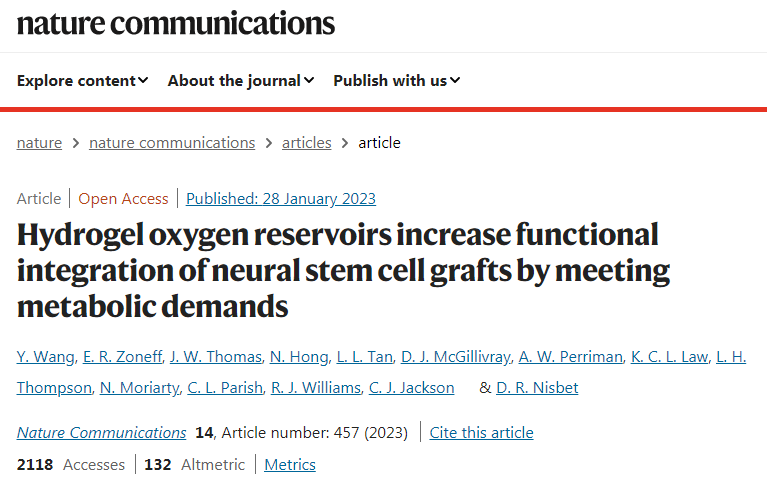 新研究人員開發了新的水凝膠可以安全地將干細胞輸送到小鼠的腦損傷部位 研究人員開發了新的水凝膠可以安全地將干細胞輸送到小鼠的腦損傷部位