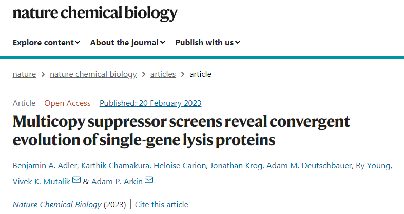 開發了一種高通量基因篩查方法識別單基因裂解蛋白（single-gene lysis proteins）