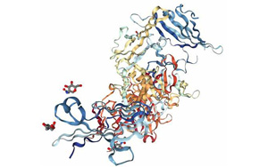 解碼微生物腸道信號(hào)的研究為IBD提供了潛在的新治療方法 解碼微生物腸道信號(hào)的研究為IBD提供了潛在的新治療方法