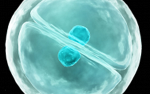 eLife:細胞真是“成精了”,它能模仿人類交流方式,一旦“關系”破裂,癌癥和糖尿病都找上門 eLife:細胞真是“成精了”,它能模仿人類交流方式,一旦“關系”破裂,癌癥和糖尿病都找上門