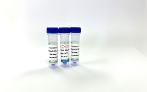 高質量DNA Ladder 高質量DNA Ladder