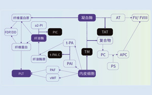 血栓調(diào)節(jié)蛋白(TM)-磁微粒化學(xué)發(fā)光法(AE/AP)解決方案 血栓調(diào)節(jié)蛋白(TM)-磁微粒化學(xué)發(fā)光法(AE/AP)解決方案