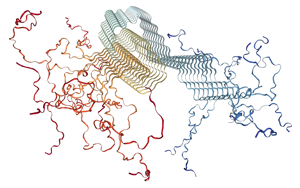 PNAS:一種新的檢測方法有望早期發現帕金森病 PNAS:一種新的檢測方法有望早期發現帕金森病