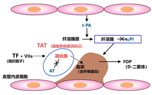  纖溶酶-α2纖溶酶抑制物復(fù)合物（PIC）-磁微?；瘜W(xué)發(fā)光法 （吖啶酯）解決方案