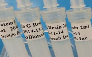 西寶生物 rProtein G SeePUR重組蛋白G親和層析預裝柱/填料系列產品-用于抗體純化! 西寶生物 rProtein G SeePUR重組蛋白G親和層析預裝柱/填料系列產品-用于抗體純化!
