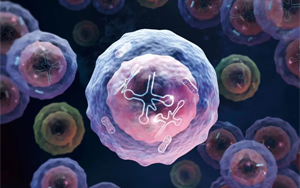 Nature Immunology:一種特殊類(lèi)型的人類(lèi)白細(xì)胞 Nature Immunology:一種特殊類(lèi)型的人類(lèi)白細(xì)胞