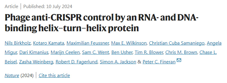 通過RNA和DNA結合螺旋-轉螺旋蛋白控制噬菌體抗CRISPR 通過RNA和DNA結合螺旋-轉螺旋蛋白控制噬菌體抗CRISPR