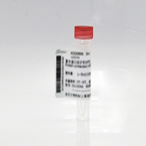 重組賴氨酰內切酶（質譜級，液體）